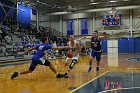 MBBall vs Emmanuel  Wheaton College Men's Basketball vs Emmanuel College. - Photo By: KEITH NORDSTROM : Wheaton, basketball, team photo, MBBall2019